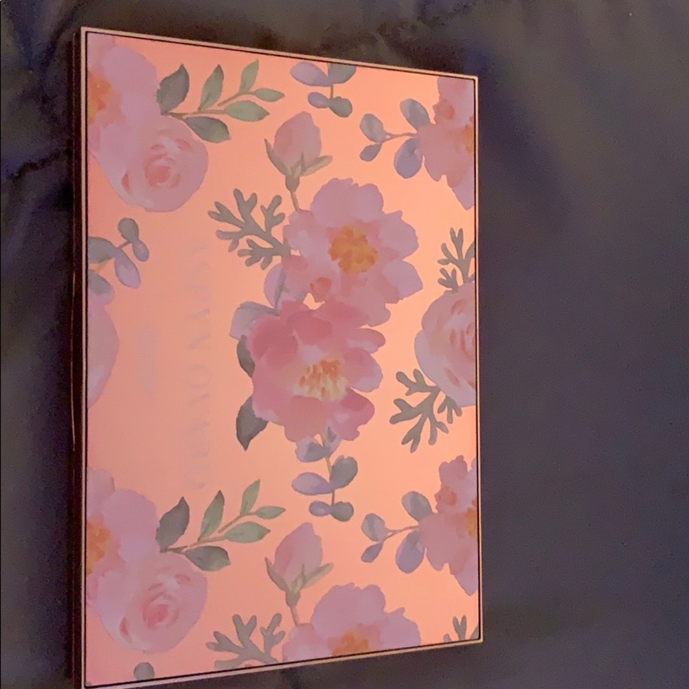 Tarte x Aspyn Ovard palette